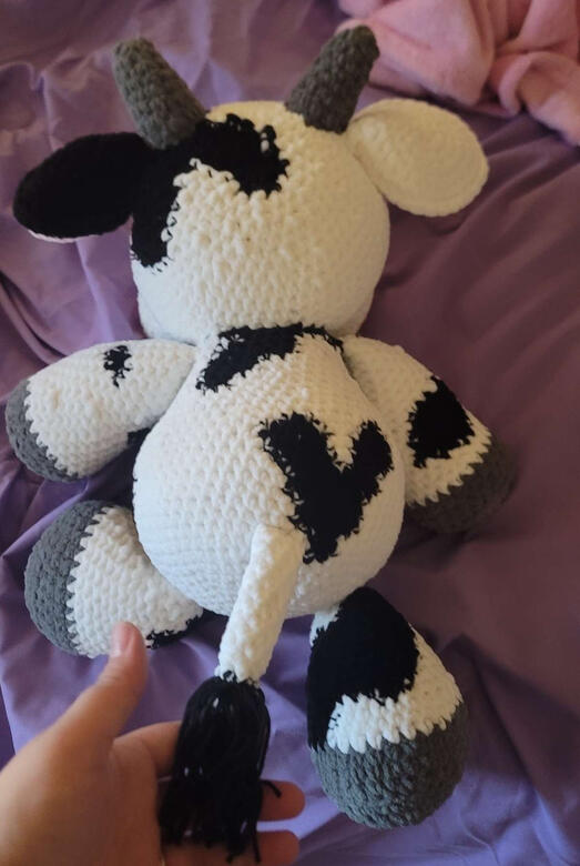 Shane Cow 2025 Shane Cow 2025