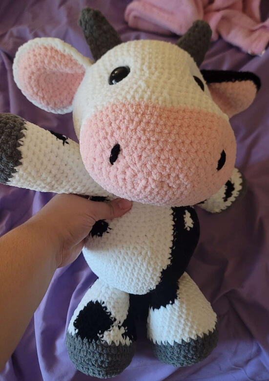 Shane Cow 2025 Shane Cow 2025